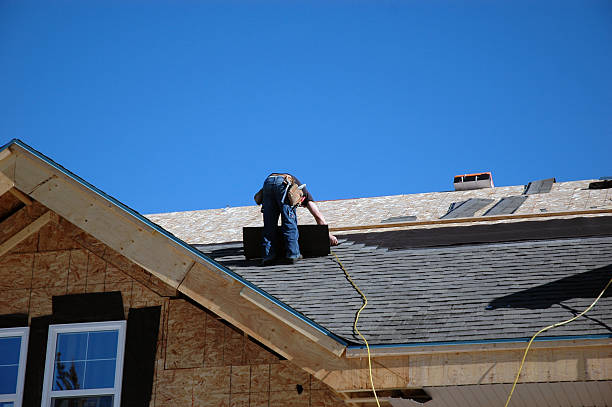 Best Roof Moss and Algae Removal  in Johnson Creek, WI